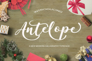 Antelope in Practice: Where Handcrafted Calligraphy Meets Modern Design