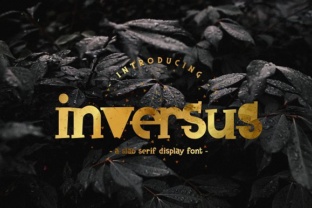 Inversus: A Slab Serif Font That Commands Attention