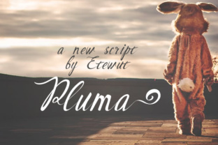 Pluma: A Handwritten Script font for Modern Design